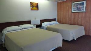 מיטה או מיטות בחדר ב-Driftwood Motel