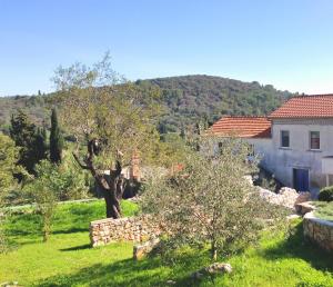 a view of a house and an apple tree at Apartmani Harmonija in Žman
