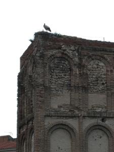 a bird perched on top of a building at Aparthotel Santa Marina in Cuéllar