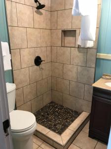 a bathroom with a shower with a toilet at Riverside Lodge at Chimney Rock in Chimney Rock