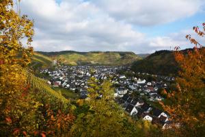 a town in the hills with houses and trees at Winzer Lounge Ferienwohnung in Dernau