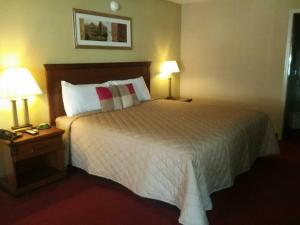 Postel nebo postele na pokoji v ubytování Springfield Inn TN