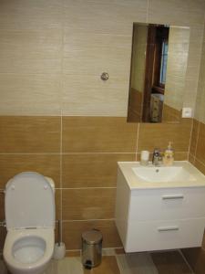 Kúpeľňa v ubytovaní Apartmány U Vlka