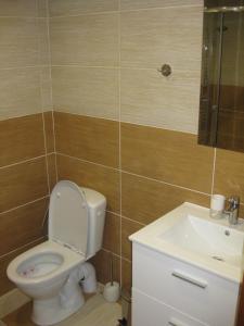 Kúpeľňa v ubytovaní Apartmány U Vlka