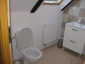 Kúpeľňa v ubytovaní Apartmány U Vlka