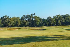 a golf course with a green with trees in the background at Paragon Casino Resort in Marksville