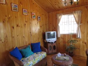 TV o dispositivi per l'intrattenimento presso Cabañas Antilhue