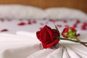 Postel nebo postele na pokoji v ubytování Hotel Anamichu Suites