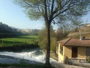a house with a tree next to a river at Moinho das Cavadas in Ponte da Barca