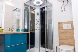 a glass shower in a bathroom with a toilet at Apartment Zamulkowa Katowice in Katowice