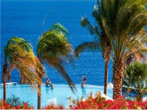 una piscina con palme e l'oceano di Concorde El Salam Sharm El Sheikh Front Hotel a Sharm El Sheikh