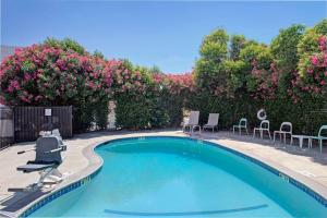 una piscina con sillas y flores rosas en Super 8 by Wyndham Sacramento/Florin Rd en Sacramento