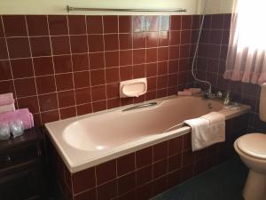 ein rot gefliestes Bad mit einer Badewanne und einem WC in der Unterkunft La Rive Waterberg Accommodation in Welgevonden Game Reserve