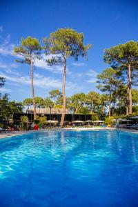 une grande piscine bleue avec des arbres en arrière-plan dans l'établissement VVF Lège Cap Ferret, à Lège-Cap-Ferret