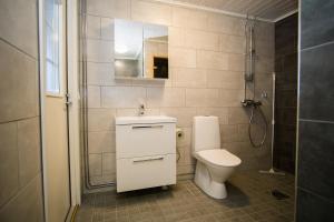 a bathroom with a toilet and a sink and a shower at Paimentupa in Kolinkylä +37 photos