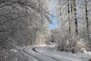 een met sneeuw bedekte weg in een bos met sneeuw bedekte bomen bij Ferienwohnung Schlierbachtal in Lindenfels