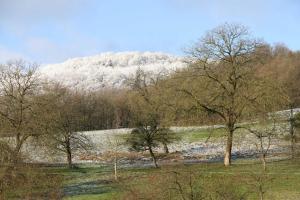 einen schneebedeckten Berg auf einem Feld mit Bäumen in der Unterkunft Ferienwohnung Schlierbachtal in Lindenfels