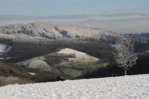 een besneeuwde heuvel met een boom erop bij Ferienwohnung Schlierbachtal in Lindenfels