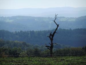 Naturlandschaft in der Nähe des Hotels