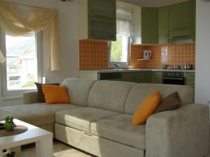 Η κουζίνα ή μικρή κουζίνα στο Apartments Martina