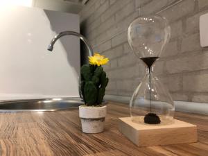 Fotografie z fotogalerie ubytování Cactus Lodge v destinaci Corralejo