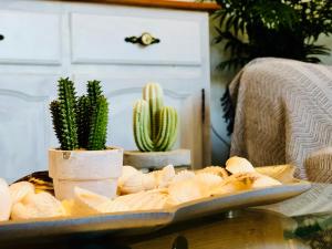 Fotografie z fotogalerie ubytování Cactus Lodge v destinaci Corralejo