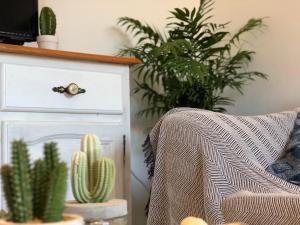 Fotografie z fotogalerie ubytování Cactus Lodge v destinaci Corralejo