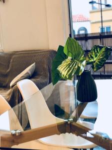 Fotografie z fotogalerie ubytování Cactus Lodge v destinaci Corralejo