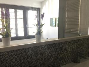 Fotografia z galérie ubytovania APARTAMENTO CÉNTRICO EN OLOT v destinácii Olot