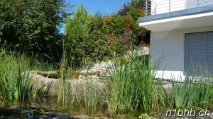 Zahrada ubytování N1 Standalone House Baden