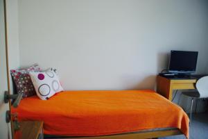 TV a/nebo společenská místnost v ubytování N1 Standalone House Baden