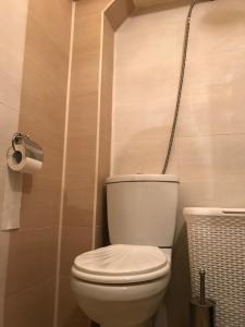 a bathroom with a toilet and a roll of toilet paper at Labris apartment in Kyustendil