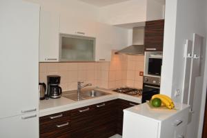 Kuchyň nebo kuchyňský kout v ubytování Apartment Sopta