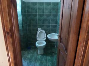a bathroom with a toilet and a sink at Saba in Shekvetili