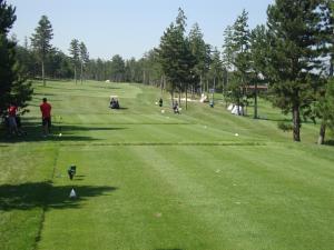 Golf v penzionu nebo okolí