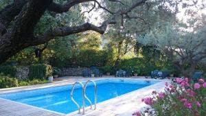 a swimming pool in a yard with a tree and flowers at La Radassière in Cotignac