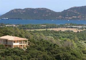 une maison sur une colline avec des arbres et une masse d'eau dans l'établissement Arbitru, à Porto-Vecchio