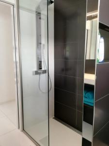 a shower with a glass door in a bathroom at Andrej Andrej in Vienna