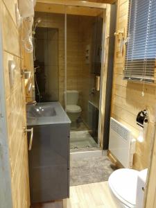 a bathroom with a toilet and a sink and a shower at Le chalet douillet in Saint-Geniès