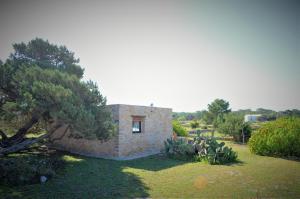 Vonkajšia záhrada v ubytovaní Siamoformentera Bella