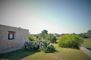 Vonkajšia záhrada v ubytovaní Siamoformentera Bella