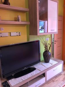TV a/nebo společenská místnost v ubytování Perfect Apartma