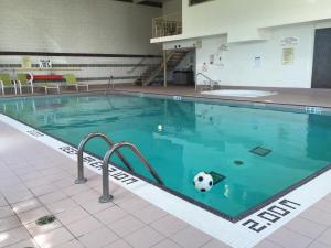 Bazén v ubytování Park Inn by Radisson Toronto-Markham nebo v jeho okolí