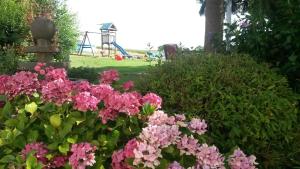 Ein paar rosa Blumen mit einem Spielplatz im Hintergrund in der Unterkunft Ferienwohnungen Eichenhof in Kapellen-Drusweiler