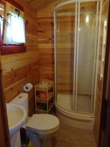 a bathroom with a shower and a toilet and a sink at Domki drewniane OW Latarnik in Gąski