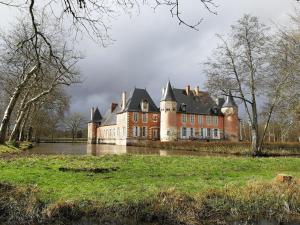 een oud kasteel midden in een rivier bij Château de Souesmes in Souesmes