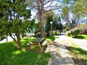 アルルにあるAppartement wifi, piscine, spa, clim, +vélo à Arles en Camargue pour 6 persの木の横の芝生に座るピクニックテーブル