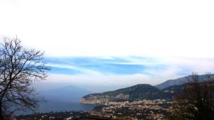 Gallery image of B&B Villa Irma in Sorrento