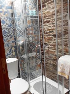 a bathroom with a toilet and a shower at Casa da Alta in Coja