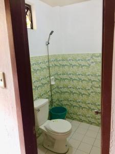 a bathroom with a toilet and a green wall at Ahras Place in Coron